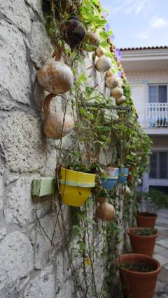 image-slider-with-thumbnail7.jpeg